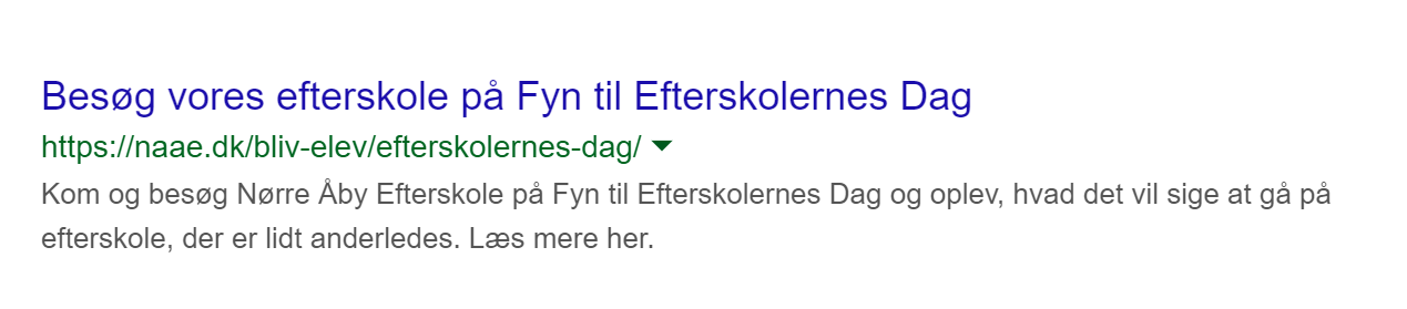 SEO efterskolernes dag