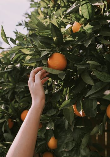 greenwashing sådan undgår du det bureau by storm